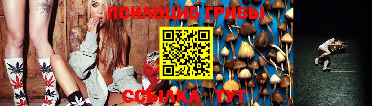Галлюциногенные грибы Psilocybine cubensis  Вход с VPN  Сатка 